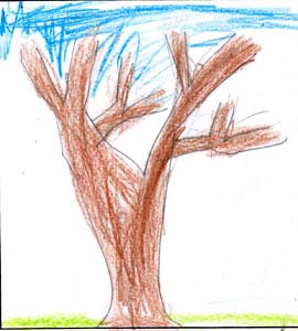 Fiona's tree drawing