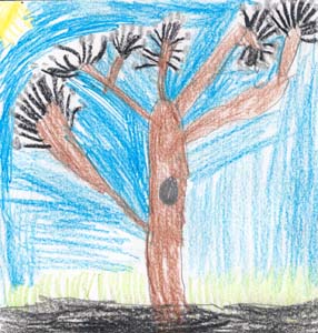 Jake's tree drawing