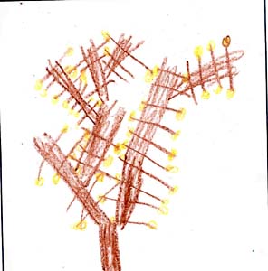 Joesph's tree drawing