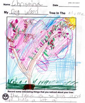 Christina's tree drawing