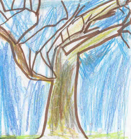 Christopher's Winter Tree