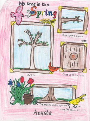 Anusha's spring drawing
