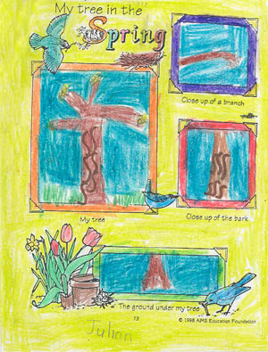 Julian's Spring Drawing