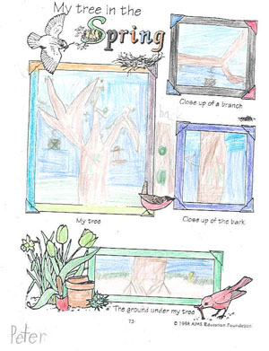 Matthew's spring drawing