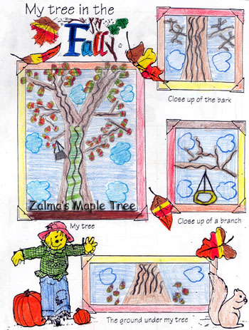 Zalma's Tree