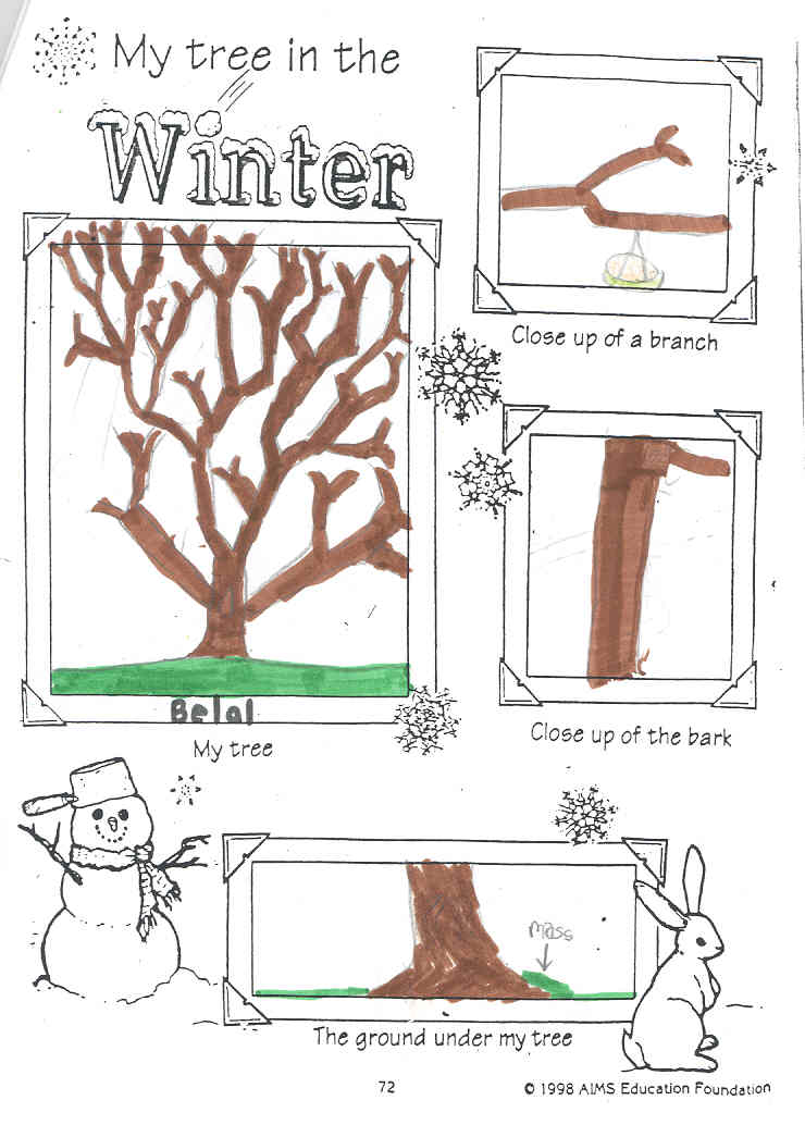 Winter Tree by Belal