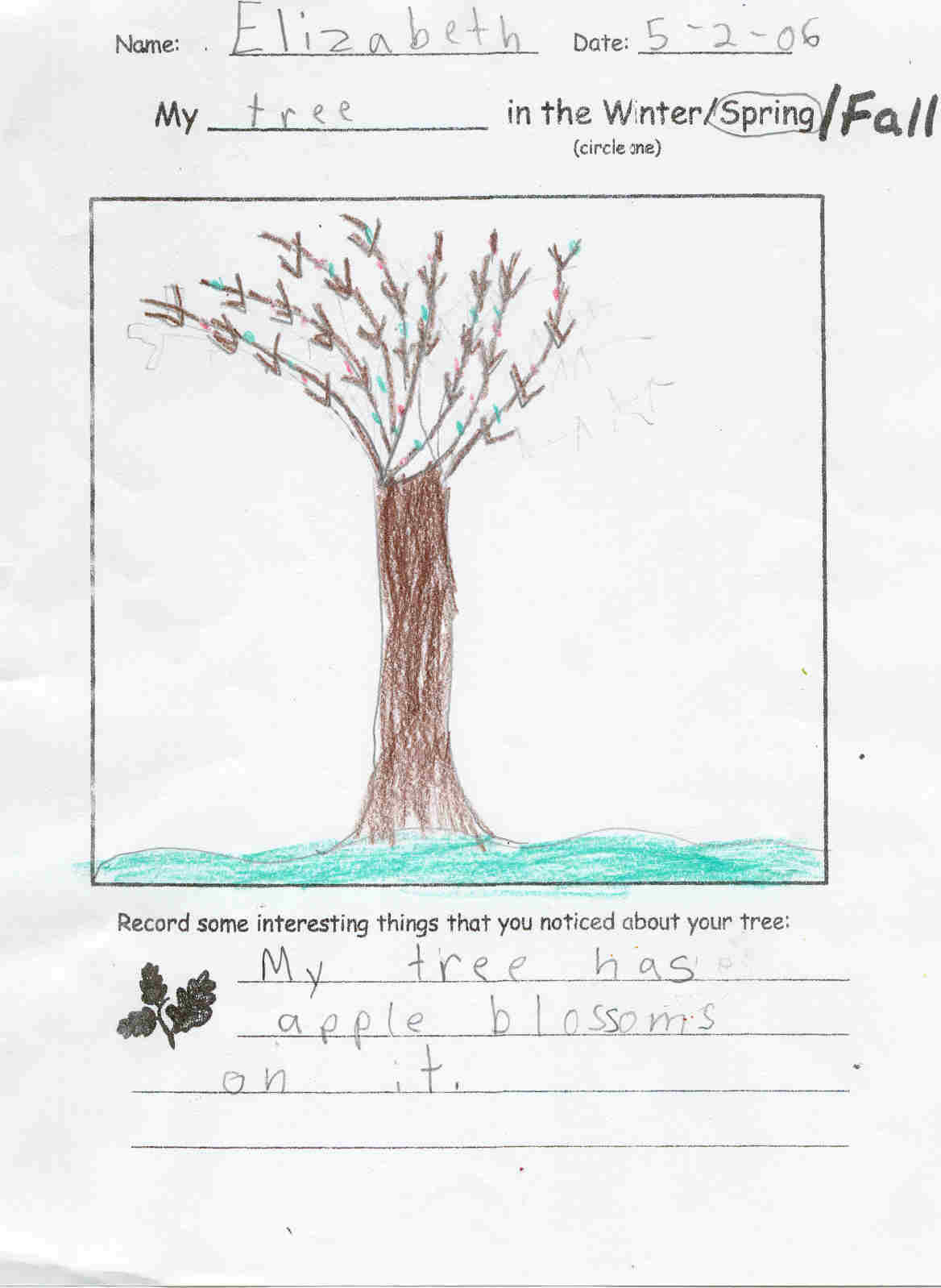 Elizabeth's Spring Tree