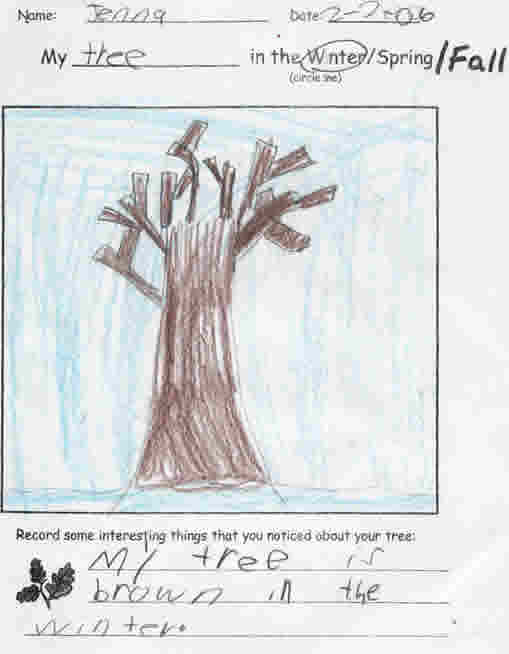 Winter Tree by Jenna