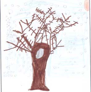 Keir's tree drawing.
