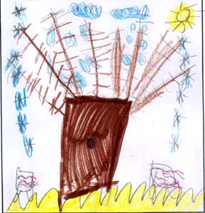 Sheila's tree drawing.