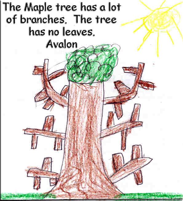 Avalon's Winter Tree