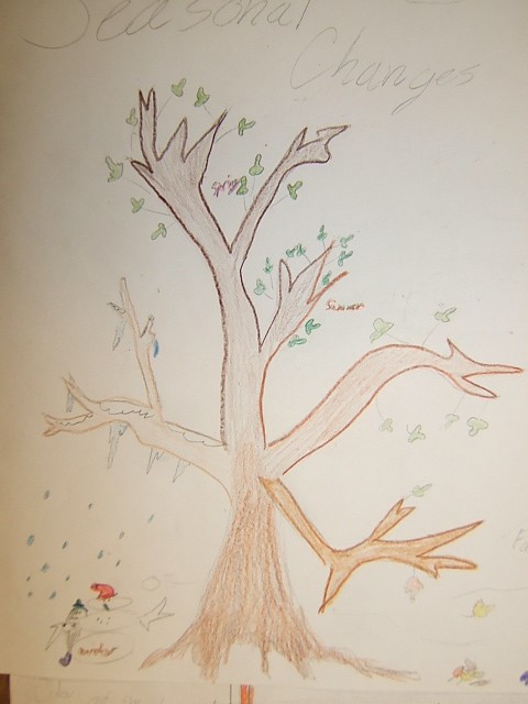 Tree Drawing