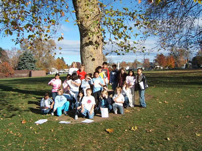 Our Class Tree - Roll over for to see bark