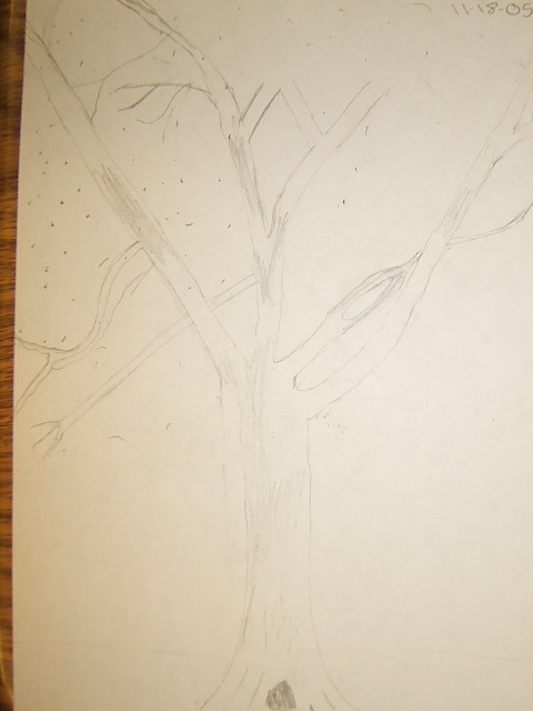 Tree Sketch