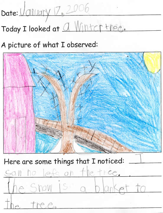 Bradley's Winter Drawing