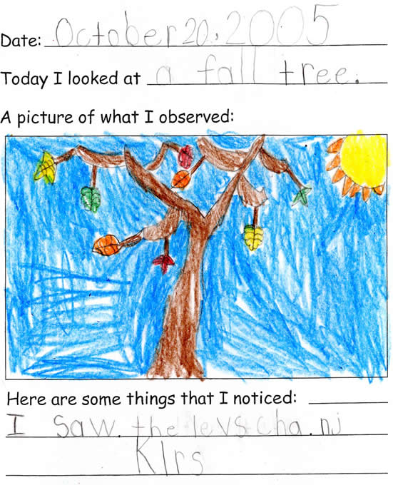 Elena's Tree Drawing for Autumn