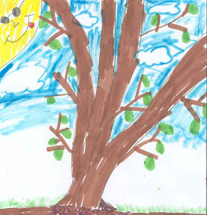 Sloane's Spring Tree