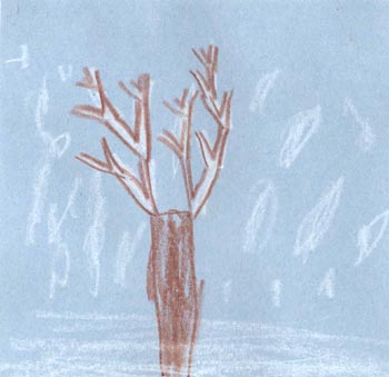 Our class tree in the winter.