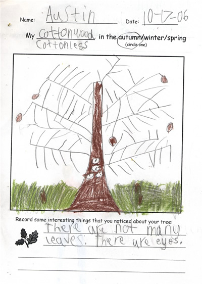 Austin's Fall Tree Drawing