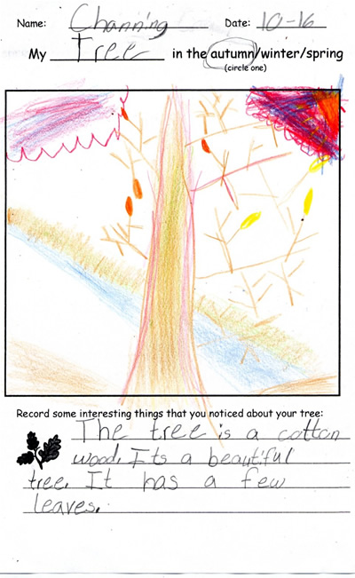 Channing's Tree Drawing