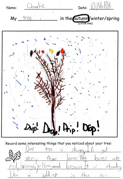 Charlie's Tree Drawing