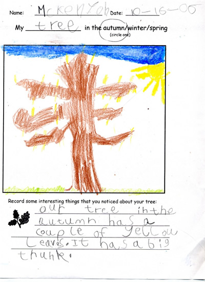 McKenyon's Fall Tree