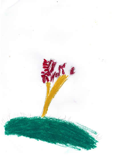 Fall Tree by Charlotte