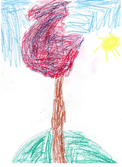 Fall Tree by Clara