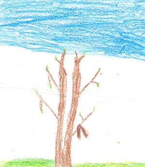 Tree by Michael