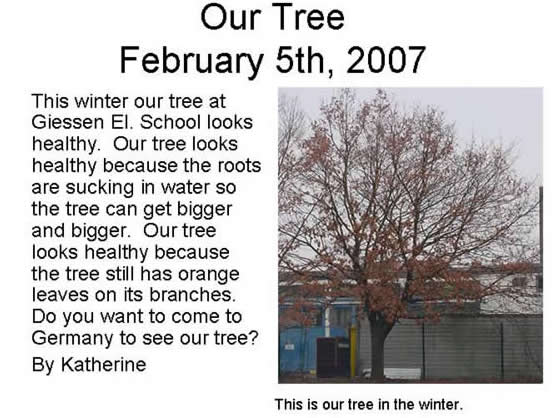 Katherine's Winter Tree