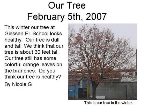 Nicole's Winter Tree