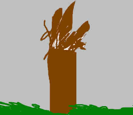 Kaitlyn's Winter Tree