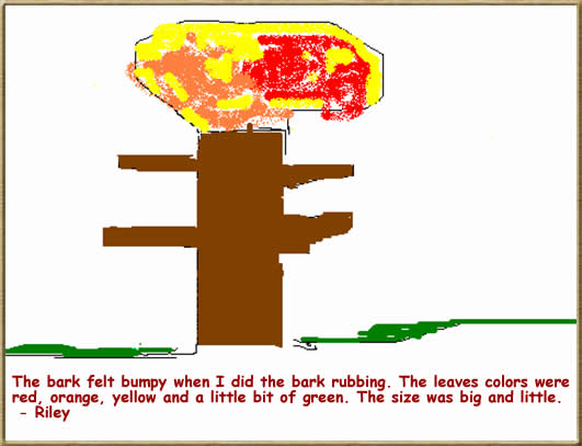 Riley's Fall Tree Drawing