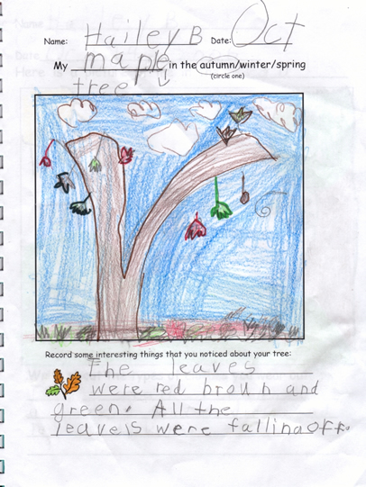 Fall Artwork by Hailey