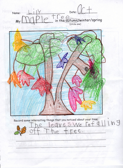 Fall Artwork by Lily