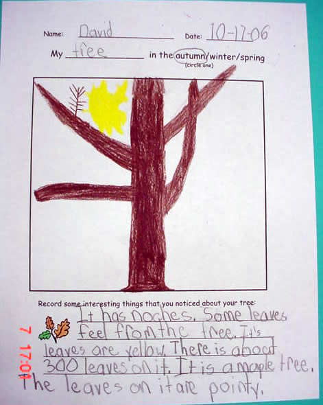 Student artwork:  fall tree