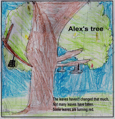 Alex's Fall Tree