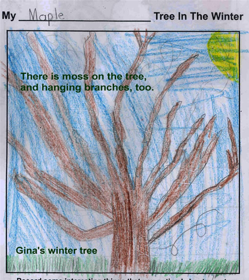 Gina's Winter Tree