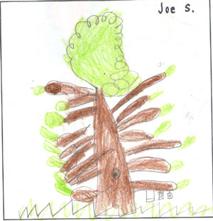 Spring Tree by Joe
