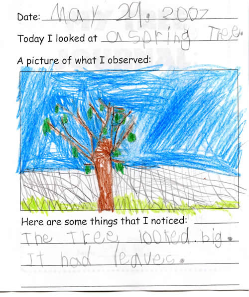 Hunter's Spring Tree