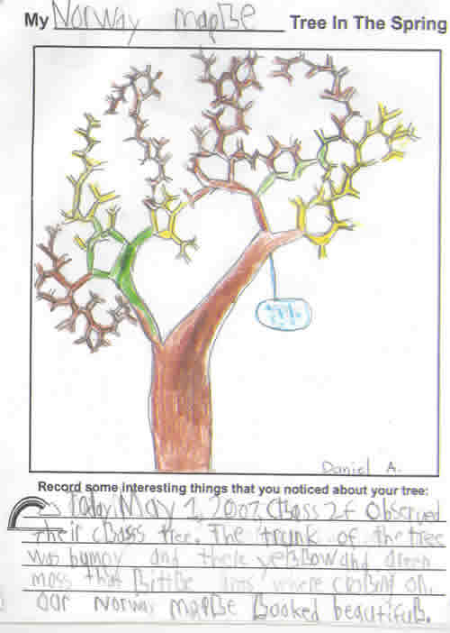 Daniel's Spring Artwork