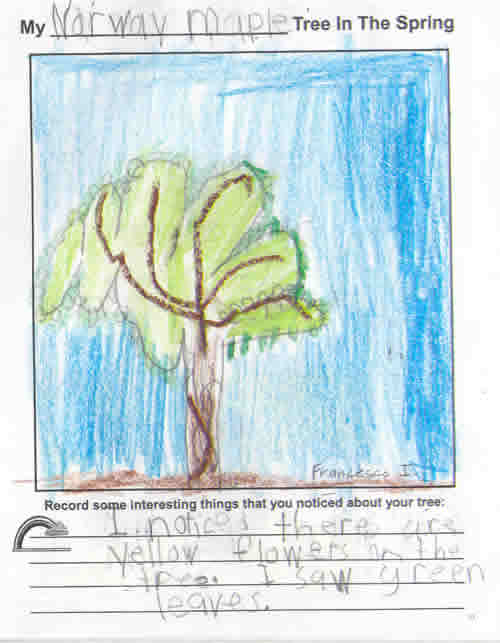 Francesca's Spring Artwork