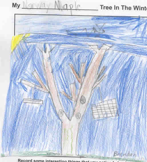 Brendan's Winter Artwork