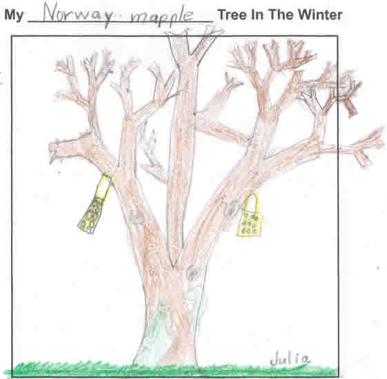 Julia's Winter Artwork
