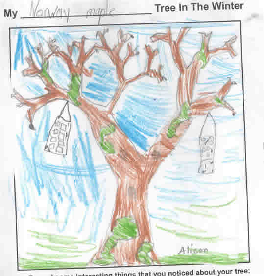 Alison's Winter Artwork