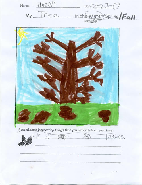 Hazen's Winter Artwork