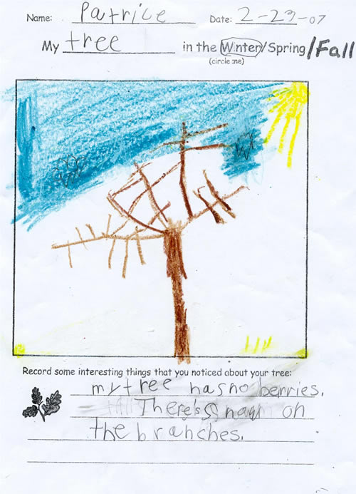 Rebecca's Winter Artwork