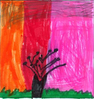 tree drawing and observation