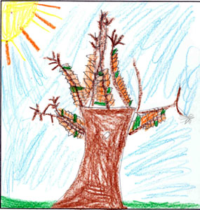 tree drawing and observation