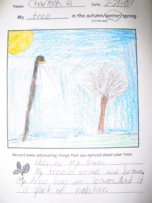 Charlotte's Winter Tree